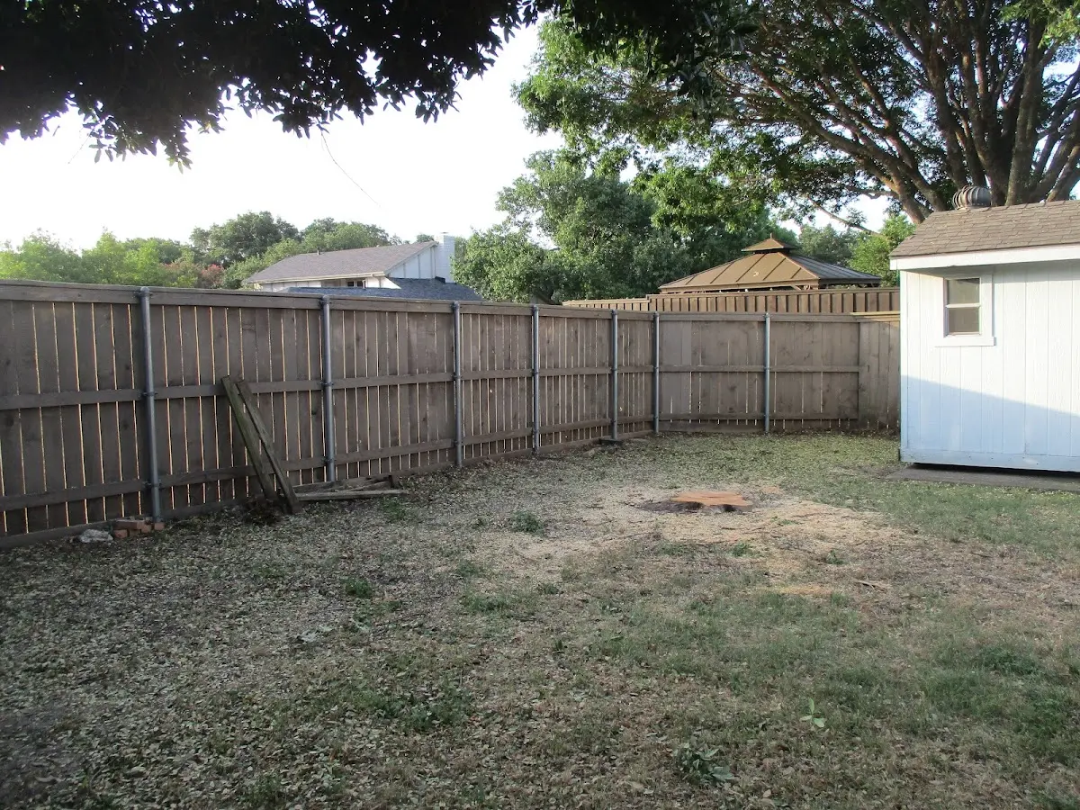 Cleared yard after professional tree removal in Sorento